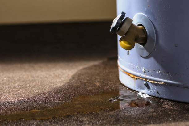 Best Water damage restoration near me  in Oak Hills, CA
