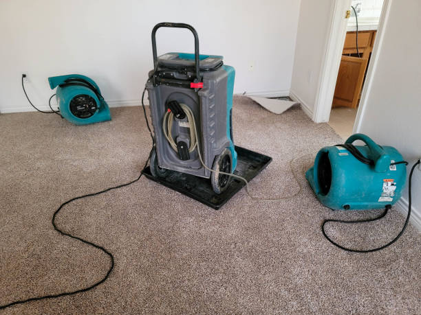 Best Local water damage restoration  in Oak Hills, CA
