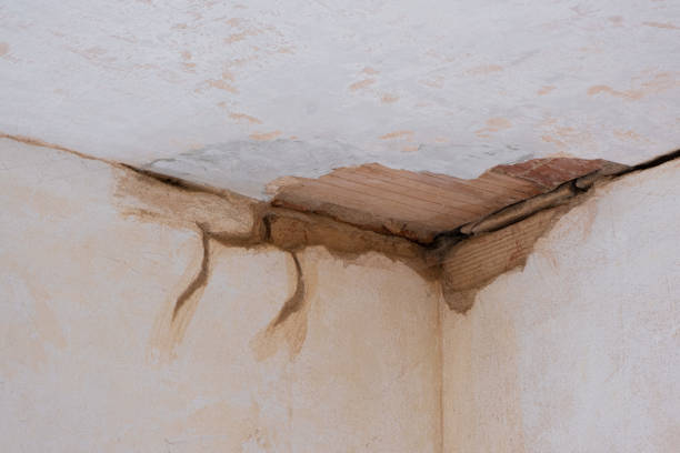 Best Mold removal after water damage  in Oak Hills, CA