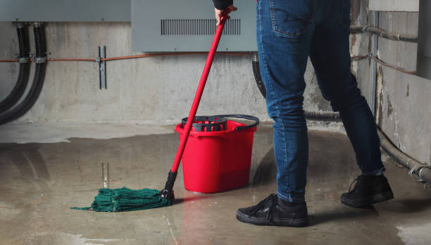 Best Water damage restoration near me  in Oak Hills, CA