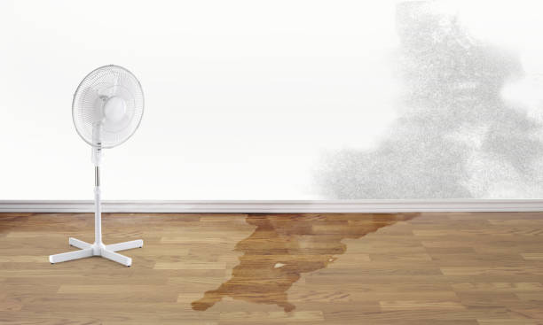Best Water damage cleanup near me  in Oak Hills, CA
