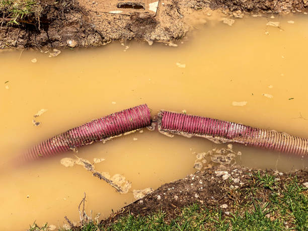 Best Professional water damage repair  in Oak Hills, CA